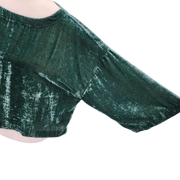 Cupcakes And Cashmere Crushed Velvet Green Blouse Top Womens Small - Picture 3 of 9